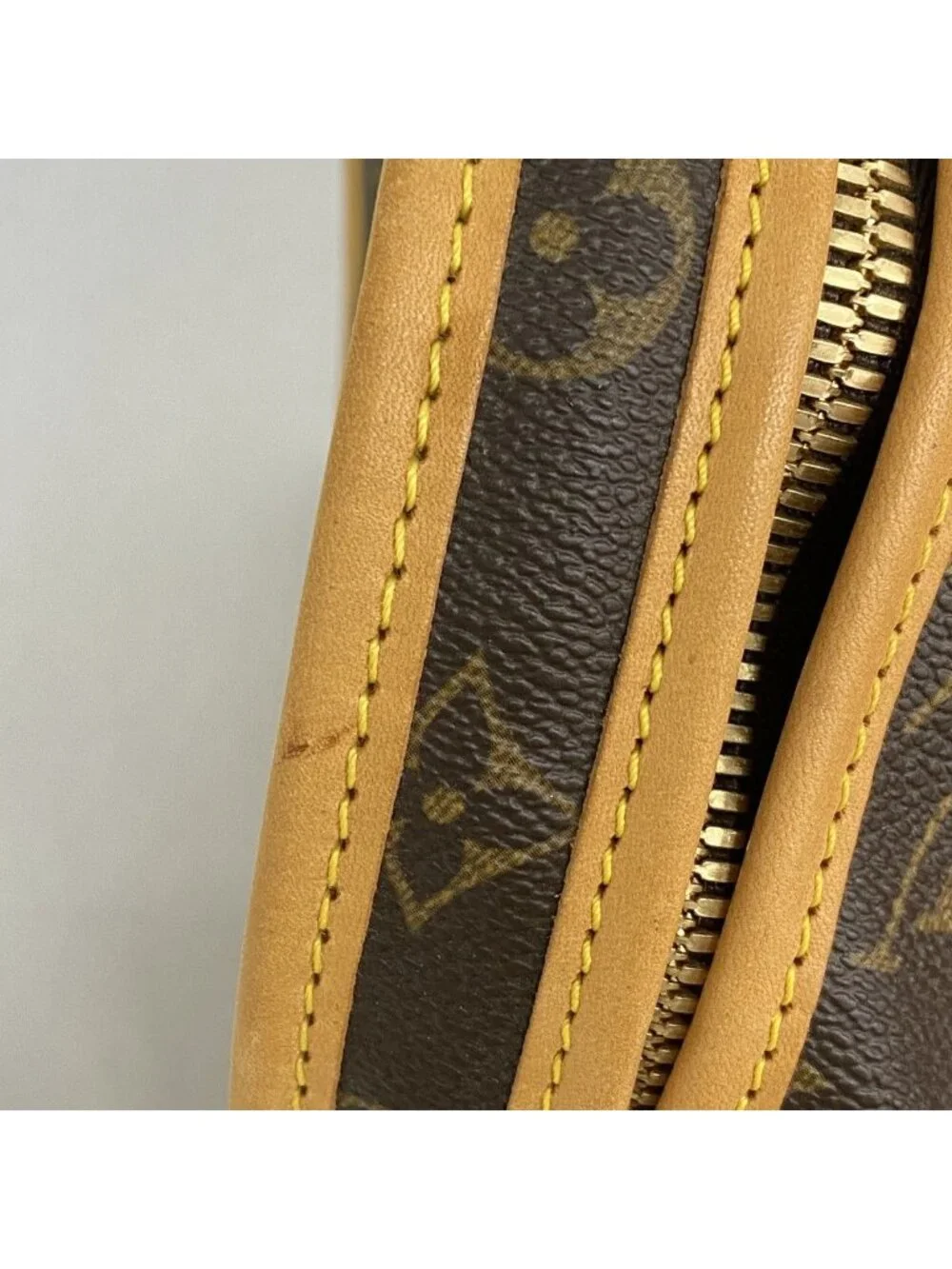 Louis Vuitton Pet Carrier Monogram Sac Brown